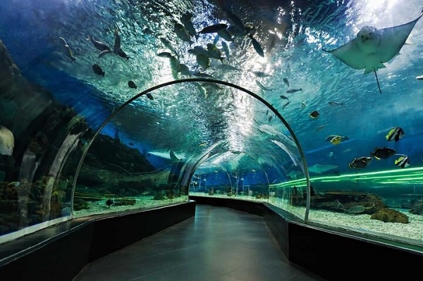 aquarium a dubai