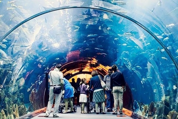 aquarium dubai