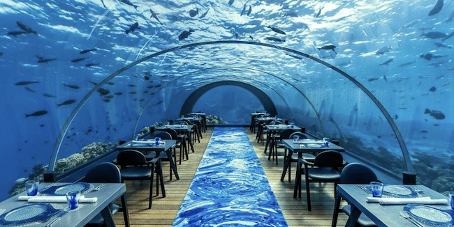 Restaurant Aquarium Dubai 2